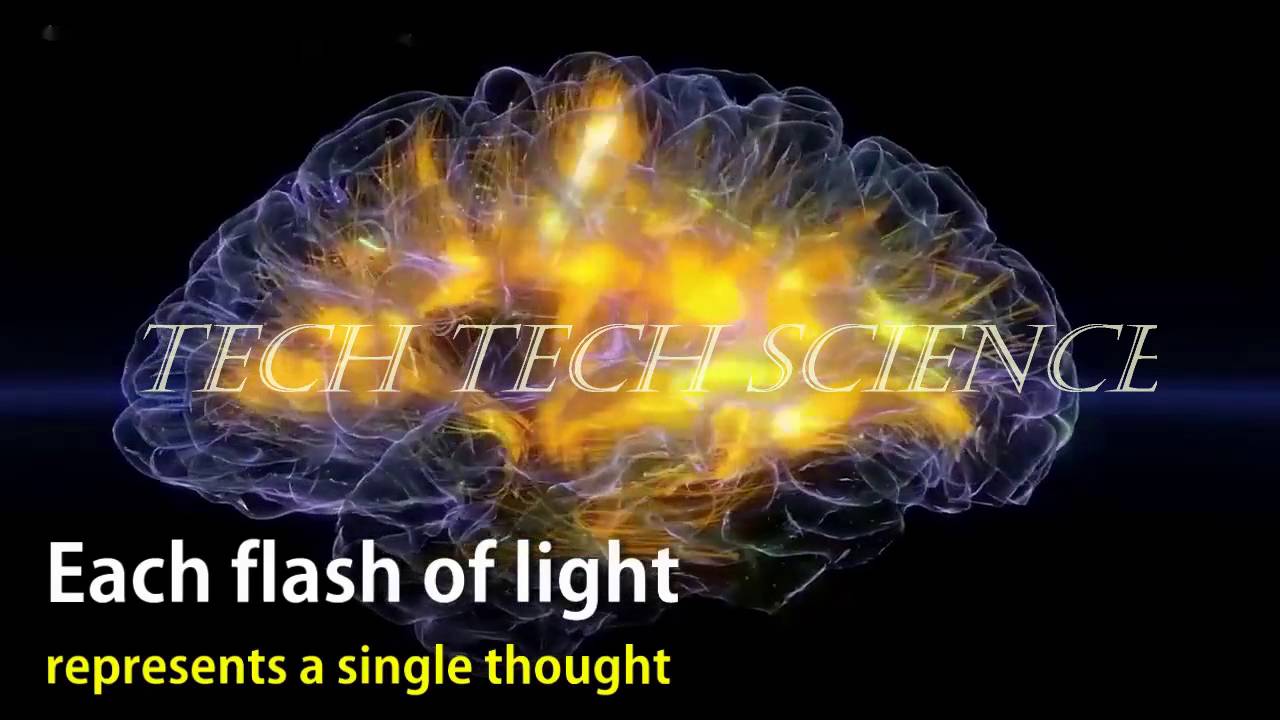 The most realistic Brain Visualization - YouTube