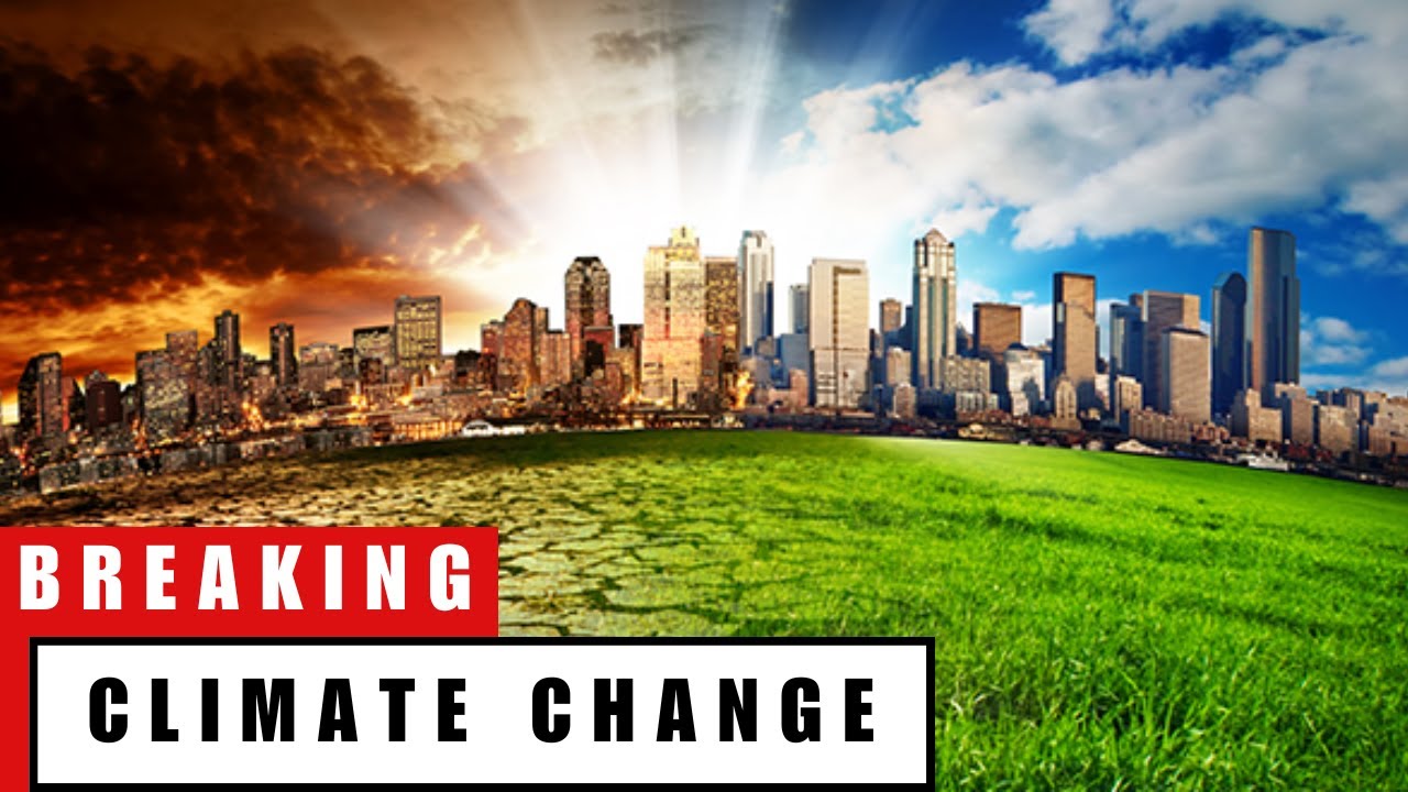 The Silent Killer: How Climate Change Is Reshaping Life on Earth - YouTube
