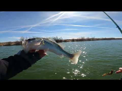 Searching For Bass in Morgan Lake!!