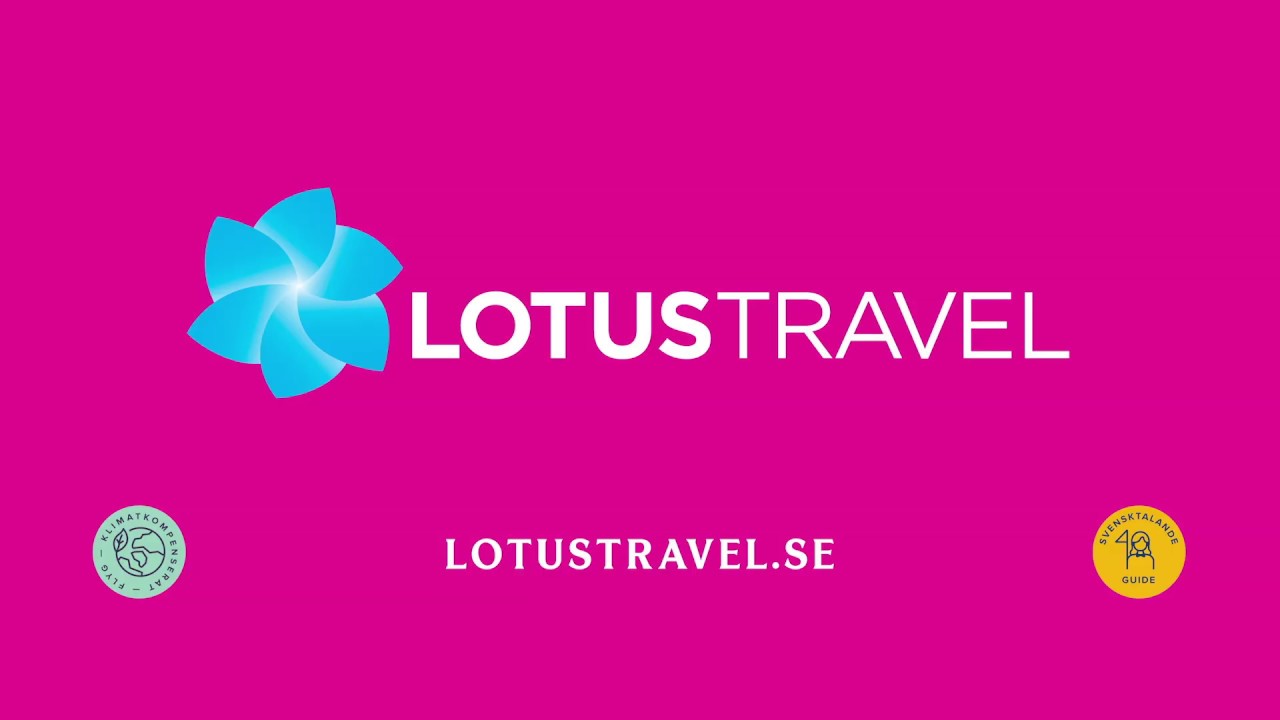 lotus travel linije