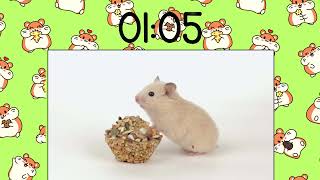 Brain Break! 2 Minute Timer with Hamsters