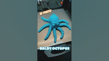 Watch This Flexi Octopus Come To Life!