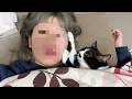 磁石みたいにくっついて離れない甘えん坊猫