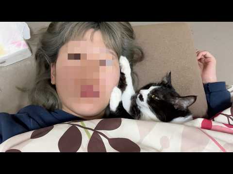 磁石みたいにくっついて離れない甘えん坊猫