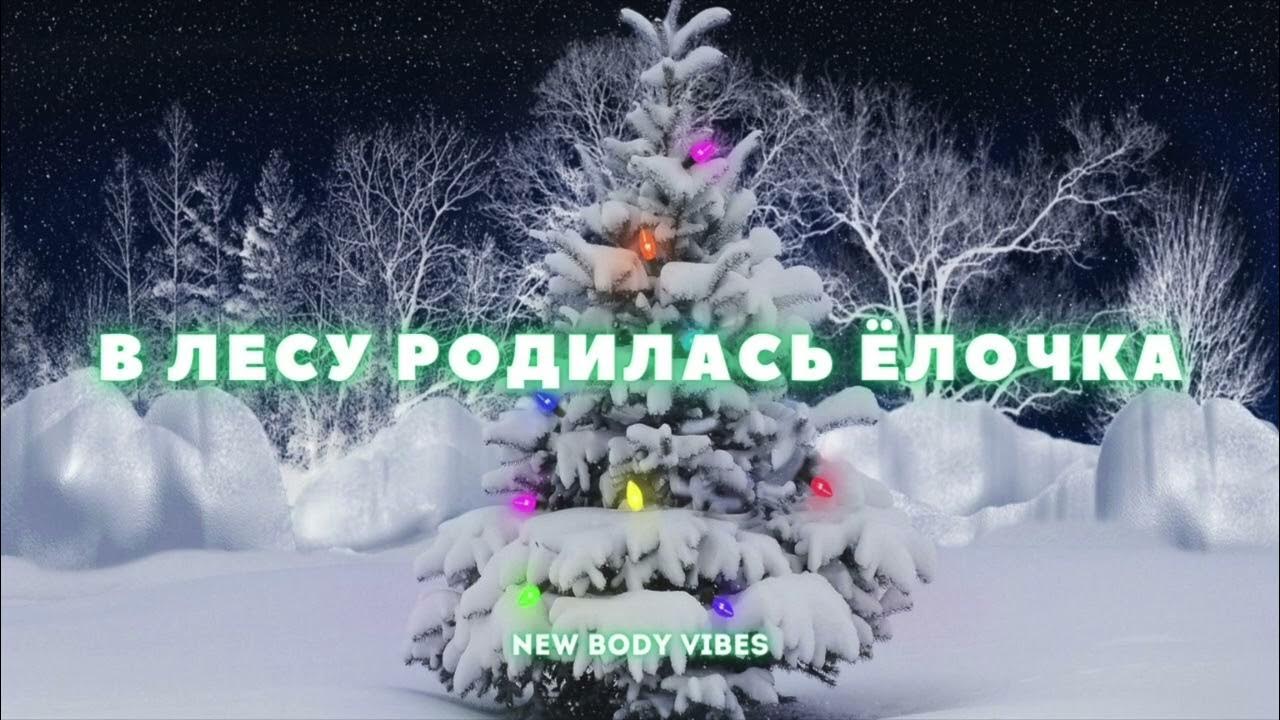 Песня в лесу родилась елочка видео. Песня в лесу родилась елочка видео