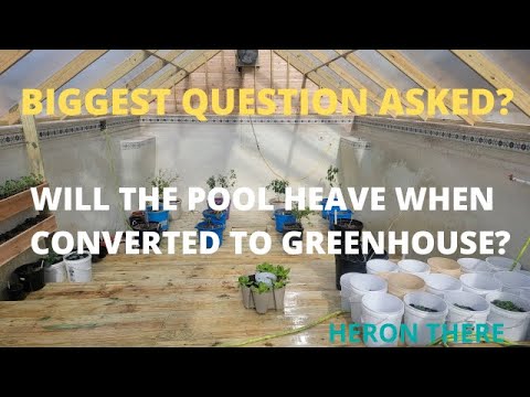 How To Build An Inground Pool Under Greenhouse