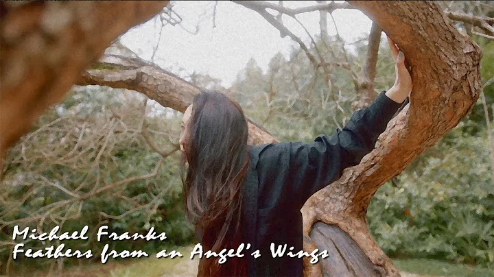 Michael Franks - Feathers from an Angel's Wings (s...