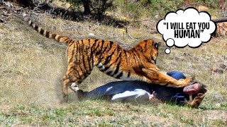 Animals That Utterly HATE Humans!