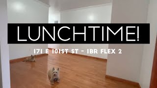 LUNCHTIME! 1 BEDROOM FLEX 2 W/D IN UNIT $2,450