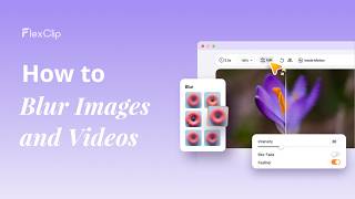 How to Blur Images/Videos in FlexClip - Blur Transition & Blurry Background Effect screenshot 4