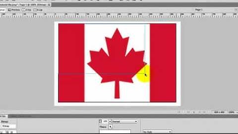 Working with Bitmap and Vector Images in Adobe Fireworks CS5