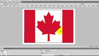 Working with Bitmap and Vector Images in Adobe Fireworks CS5