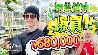 [V-LOG] JO1'S VLOG 金城碧海｜SKYと巡る植物の世界🪴