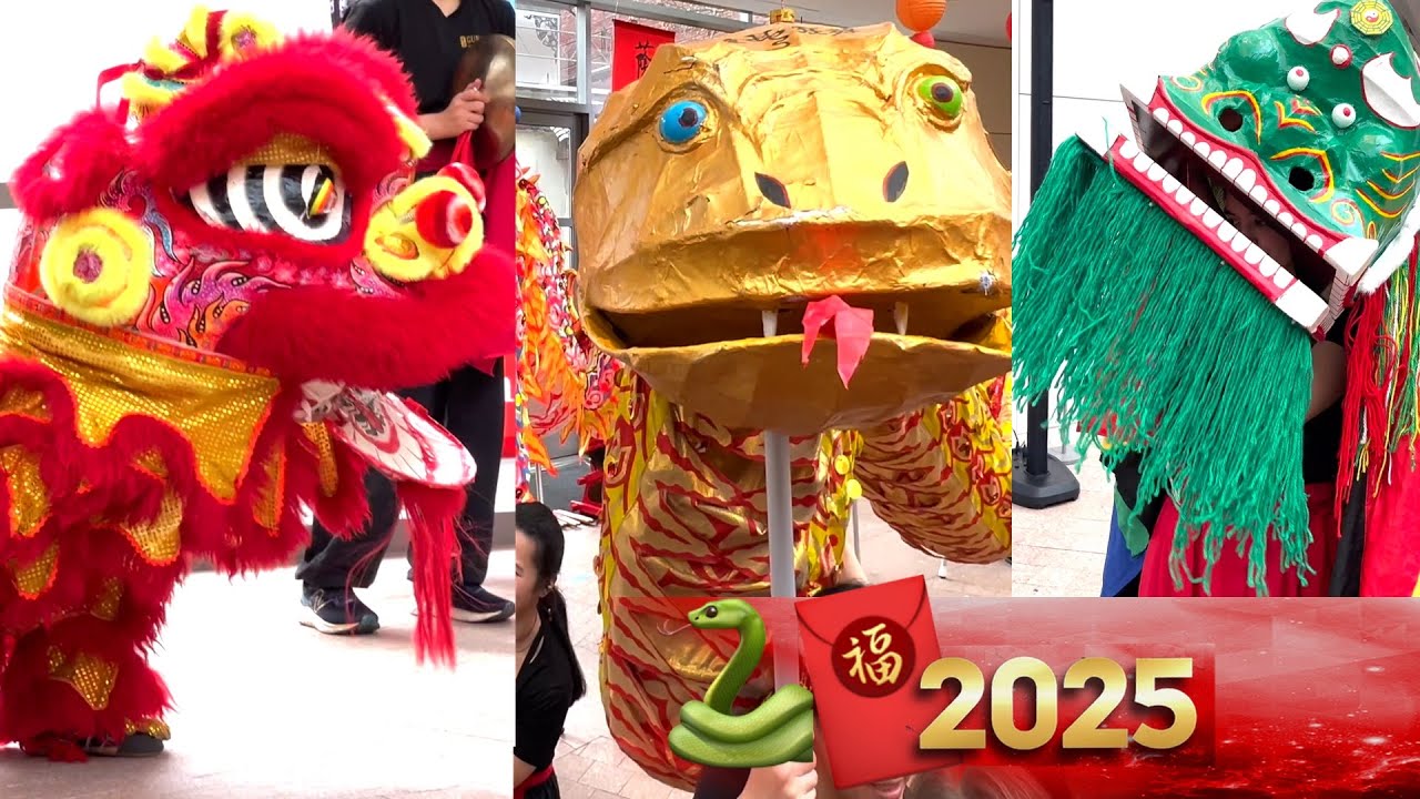 2025 Story of the Snake Gund Kwok Female Lion Dance USA CNY Performance Boston Peabody Museum PART 1