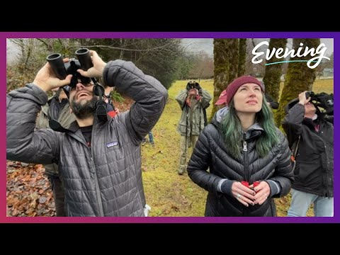 Eagle watching season lures hikers to Skagit County