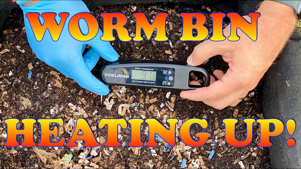 Warming Up Your Worm Bin In The Winter! Red Wiggler Vermicompost Worm Farm