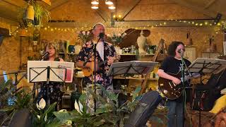 Size of a Cow | The Wonder Stuff