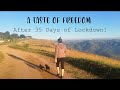 A Taste of Freedom - After 35 Days of Lockdown!
