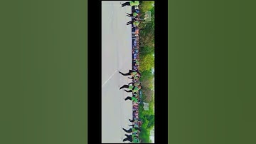 EEE flash mob 2k23|Rgukt basar|#rguktbasar #dance #flashmob #iiit #dj #EEE #2k23