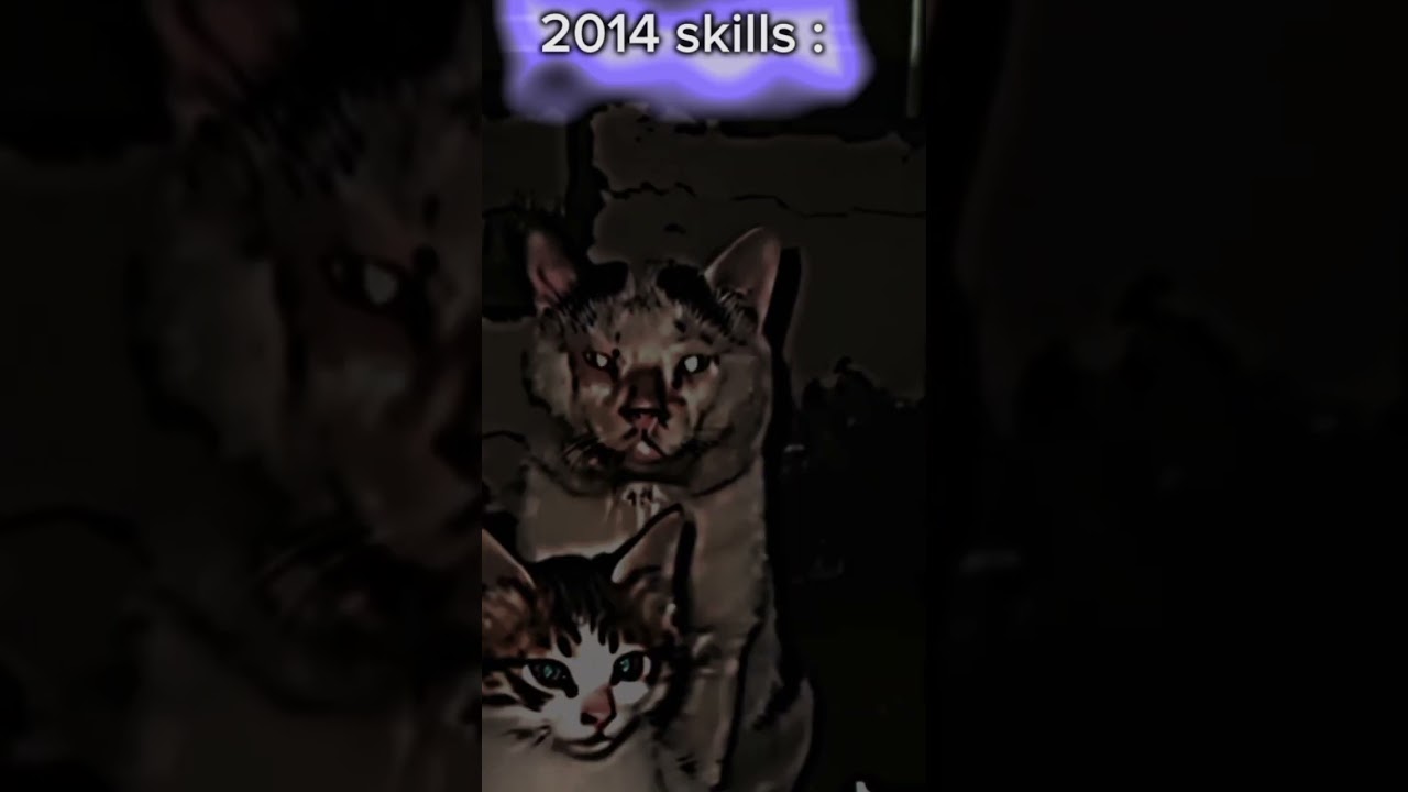 2024 skills Vs 2014 skills cat