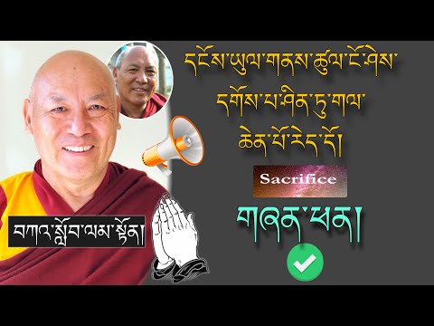 🚨དགེ་བཤེས་ལྷག་རྡོར་མཆོག།🚨བོད་པ་དགོས་ཟེར་དགོས་དོན་ཅི་ཡིན་ནམ།? 🙏#TibetanADVICE  