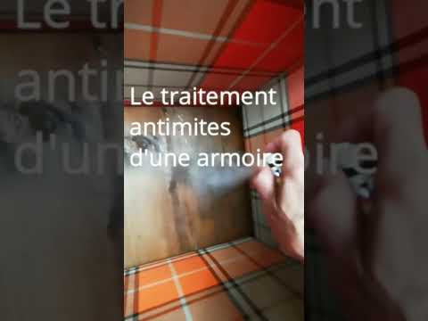 Comment se débarrasser des mites alimentaires durablement 1 Aperçu de la vidéo