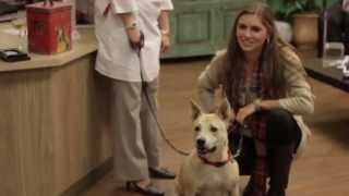 Welcome to Tuscan Ridge Animal Hospital