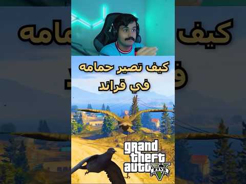 كيف تصير حمامه في قراند       5 6 