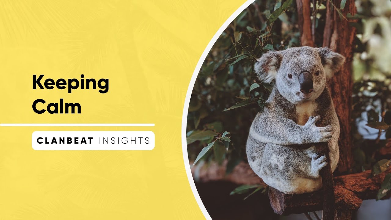 Keeping Calm | Cope with Christmas | Clanbeat Insights