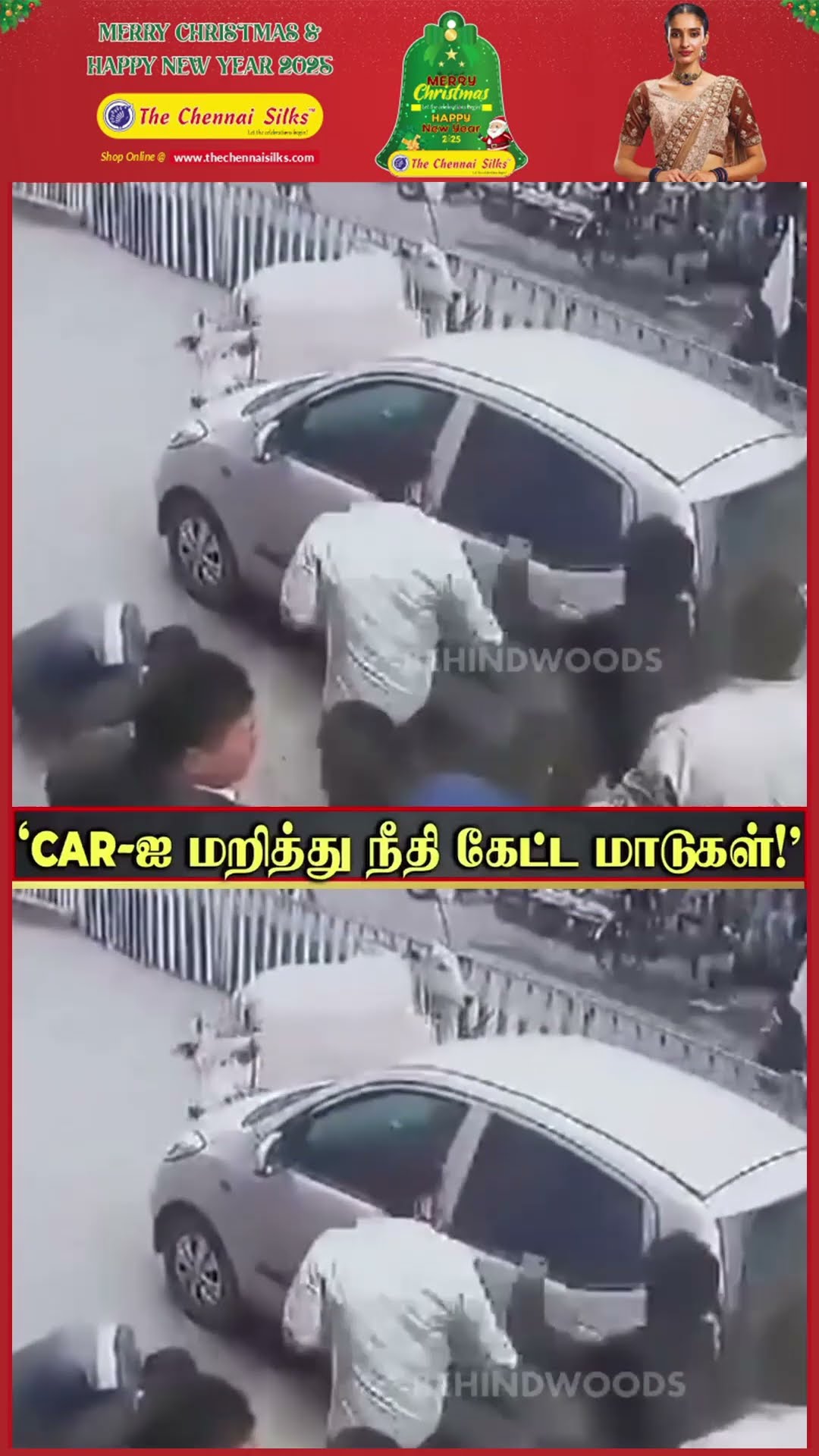 Car-ஐ மறித்து நீதி கேட்ட மாடுகள் ?? நடுரோட்டில் நடந்த பாச போராட்டம்