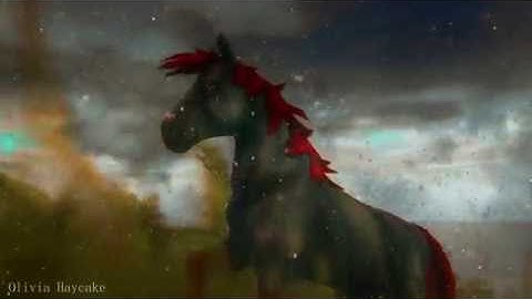 || SSO Mep | part 9 | for Amanda Dolphinfoot ||