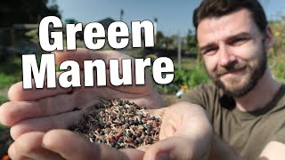 7 Reasons to Try Green Manure