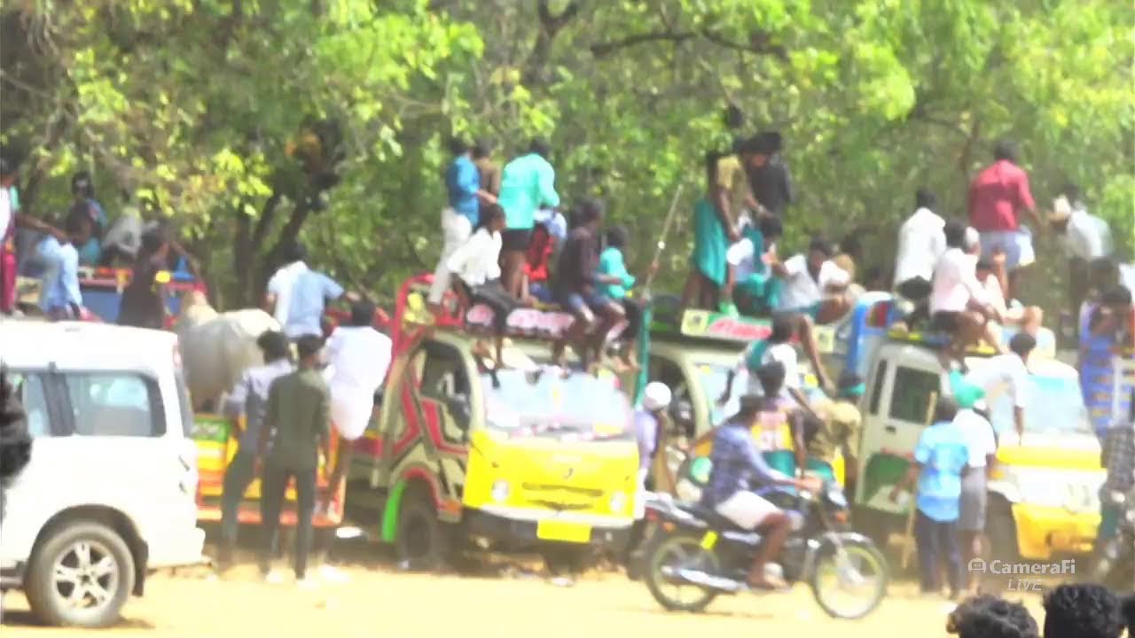 அரளிப்பாறை மஞ்சுவிரட்டு 2026