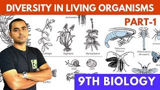 Download lagu DIVERSITY IN LIVING ORGANISMS PART 1 CLASS 9 CBSE DIVERSITY IN LIVING ORGANISMS PART 1 CLASS 9 CBSE