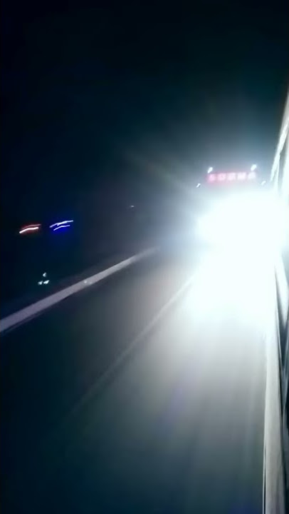 Sodha bus & Shree chamunda bus