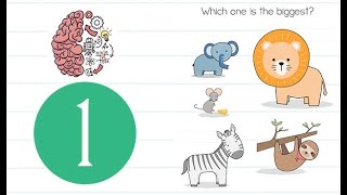 Famous Brain Test Level 1 Which one is the biggest Answer Wealth