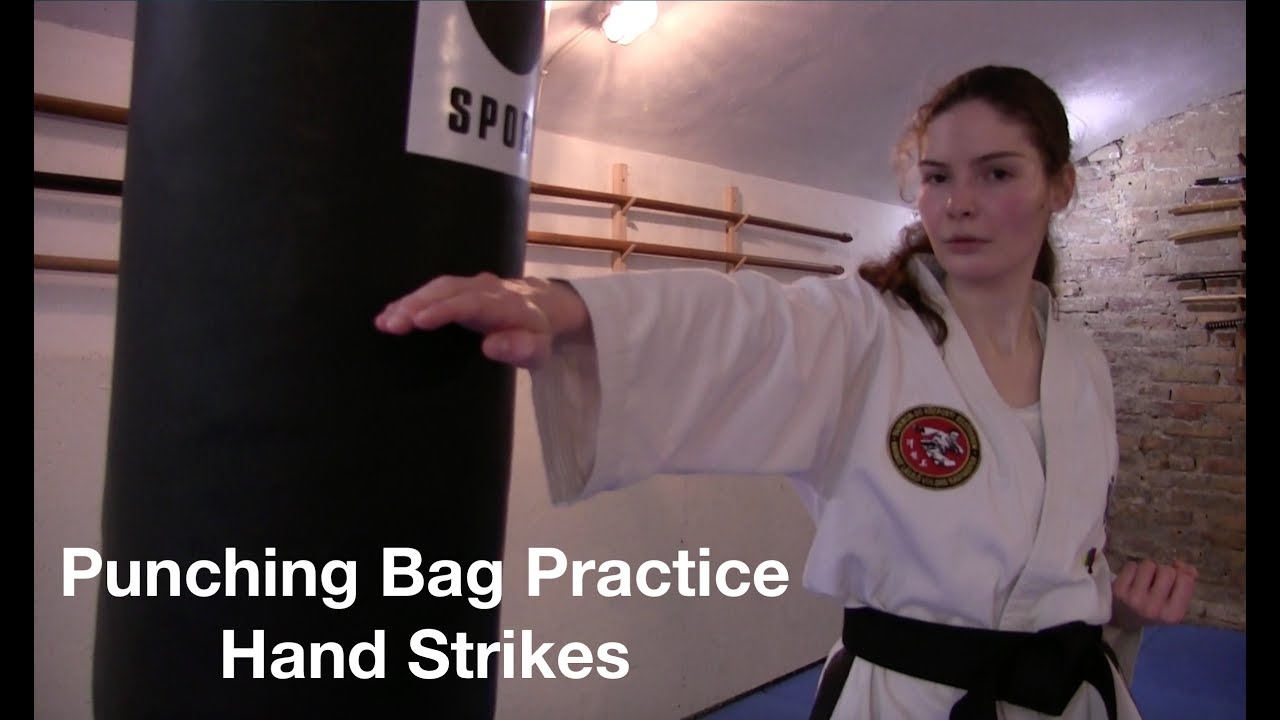 Taekwondo Heavy Bag Practice Basic Punches & Hand Strikes 🥋👊🏻