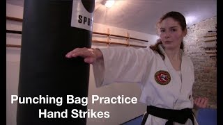 Taekwon-do | Heavy Bag Practice | Basic Punches & Hand Strikes 🥋👊🏻