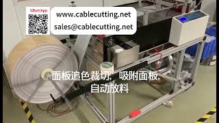 Vacuum Panel Auto Unwinding Color Tracking Slicing Cut To Sheet Tools Stacking Rapid Setup