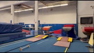 Taylor Templin - Vault - Training fulls
