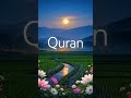 Quran – Dil Ko Sukoon Dene Wali Kitaab 🌙✨#Quran#QuranKareem#HolyQuran#IslamicShorts