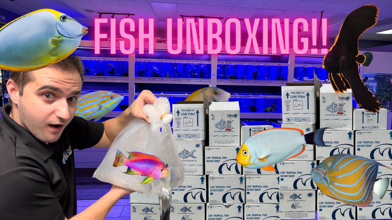 INSANE RARE FISH UNBOXING!!