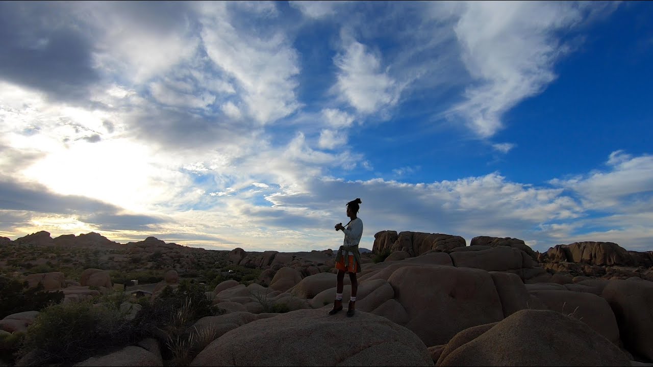 Discover the surprising wonders of Joshua Tree National Park