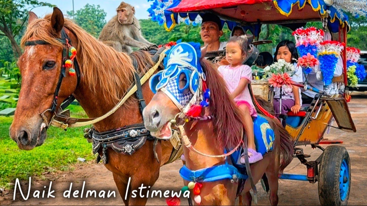 Naik kuda delman Istimewa | Full Lagu Anak-Anak Ceria & Edukatif untuk Si Kecil
