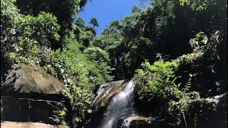 Cachoeira Na Mata Atlântica.