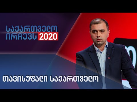 თავისუფალი საქართველო - საქართველო ირჩევს 2020