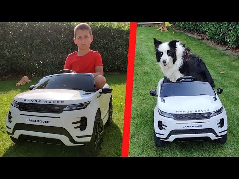 Range Rover Evoque Electric Car for Kids - DOG DRIVING a car for Kids (SUPER FUN)