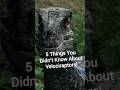 5 Things You Didn’t Know About Velociraptors! #velociraptor #dinosaur  #funfacts #didyouknow #cool