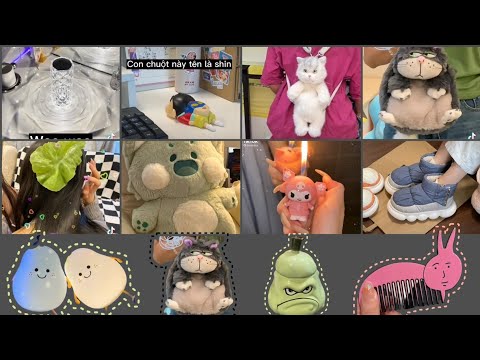 Video [Tiktok]Tổng hợp những món đồ dễ thương và độc lạ | 处女 - youtube