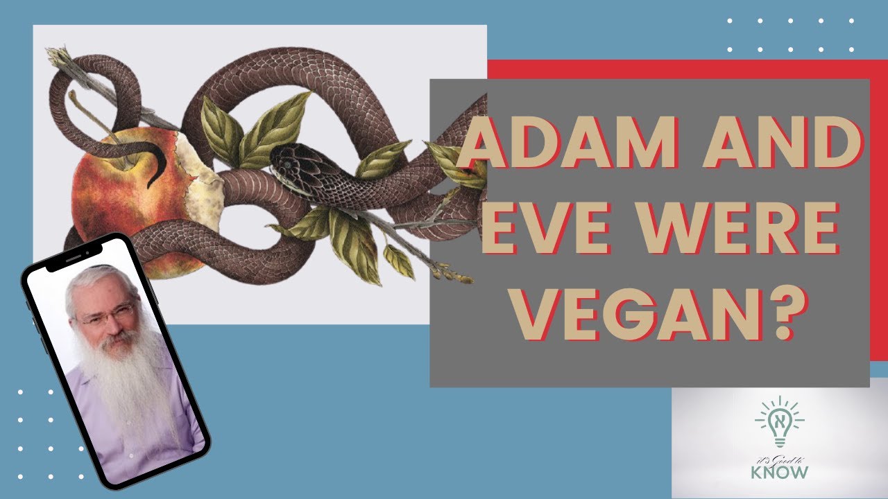 Parshat Noah Why Were Adam and Eve Vegans? YouTube